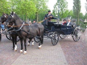 Koets-met-paard-en-wagen