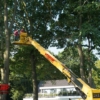 Zelfrijdende_telescoophoogwerker_Apeldoorn_huren