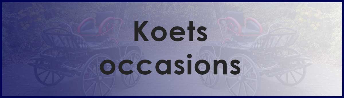 occasions-koetsen-en-marathonwagens gelderland