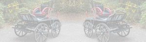 tweedehands-marathonwagen gelderland