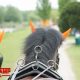 VoskampHall-Gregor Melsen powerhorse