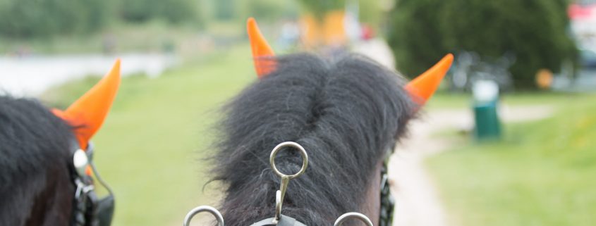 VoskampHall-Gregor Melsen powerhorse
