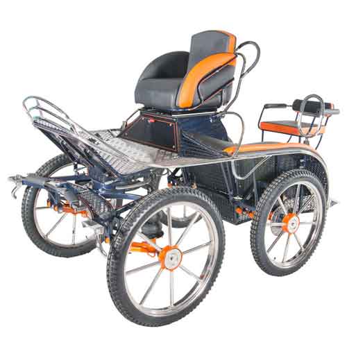 Aroldo-Marathonwagen-met-achterzit-(2)