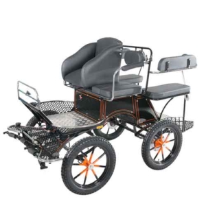 Jonas-pony-marathonwagen-(2)